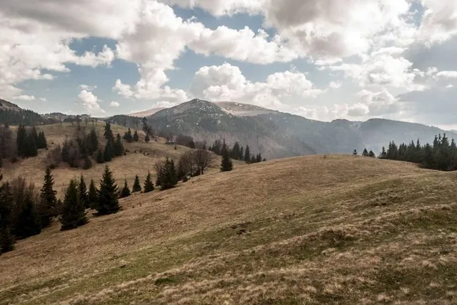 Sopron Mountains