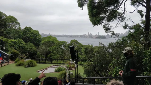 Free Flight Bird Show