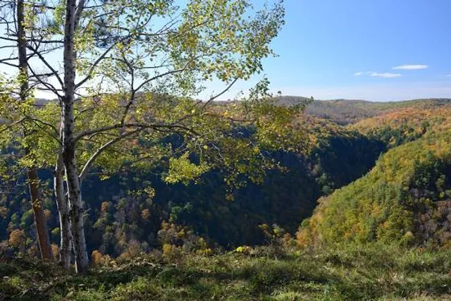 Colton Point State Park
