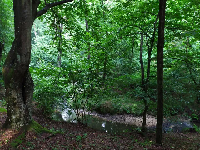 Natural trail Malomgát (end station)