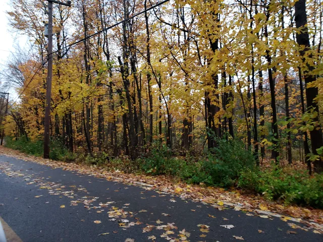Parc agricole du Bois-de-la-Roche