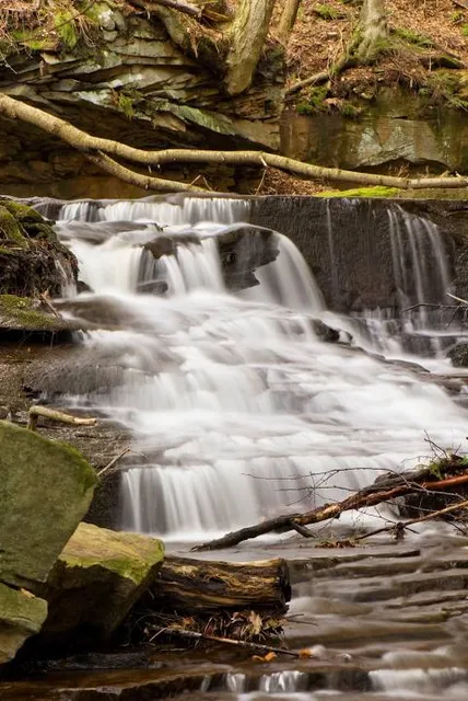 Maurice K Goddard State Park