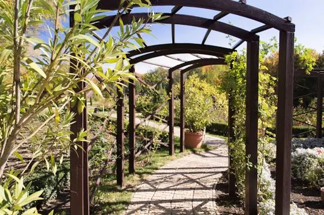 Donetsk Botanical Garden