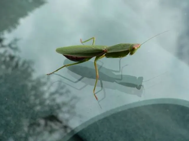 Monument to Frontier Guards