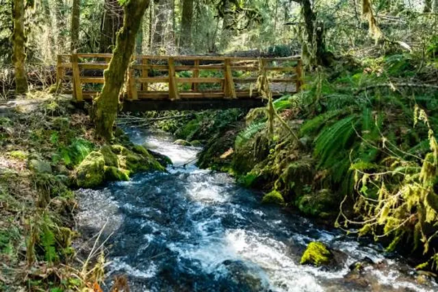 Cascadia County Park