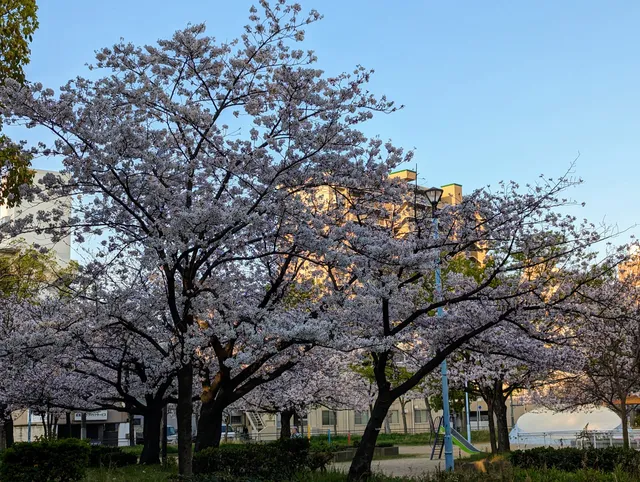 Shinkitajimanishi Park