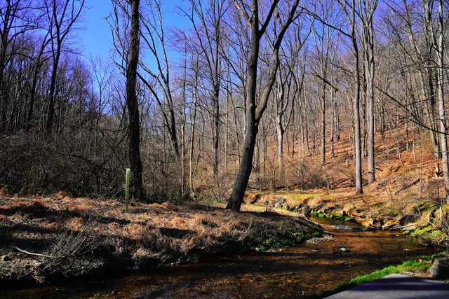 Nixon Park Nature Center