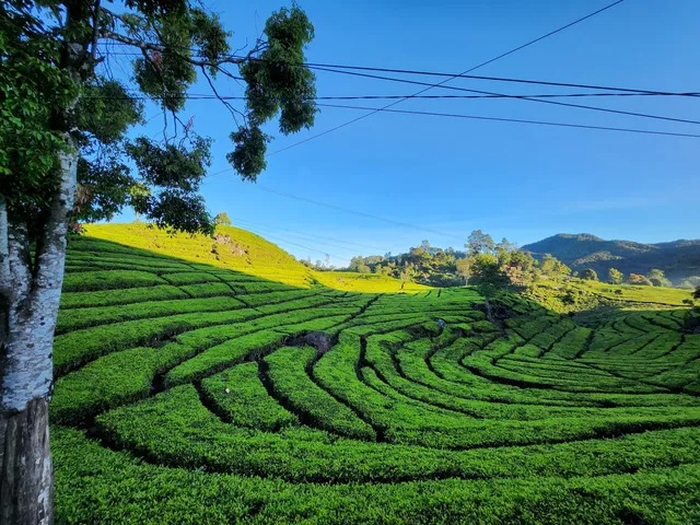 Agrowisata Rancabali