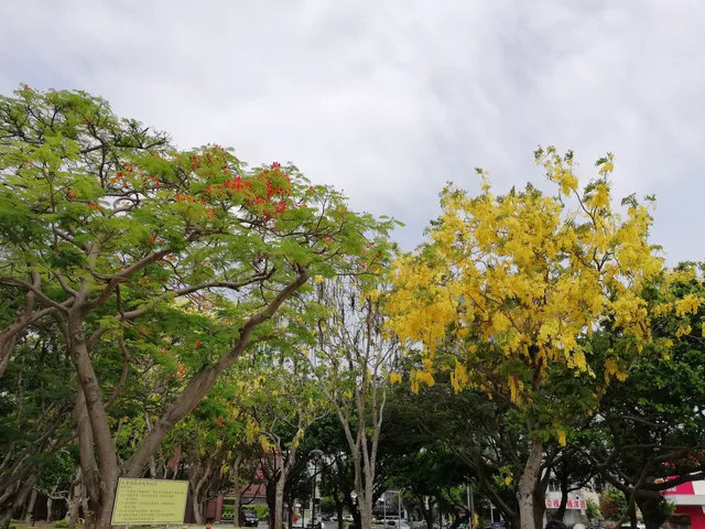 Smile SLIDE (Hsinchu Green Park Road)