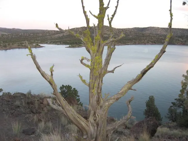 Prineville Reservoir