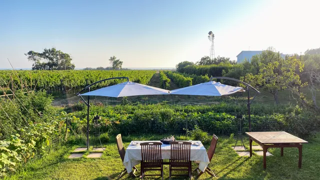 Vitivinicola Biologica ETRUSCAIA