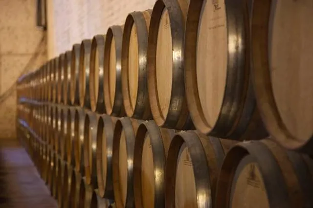 Bodega La Rural - Museo del Vino San Felipe