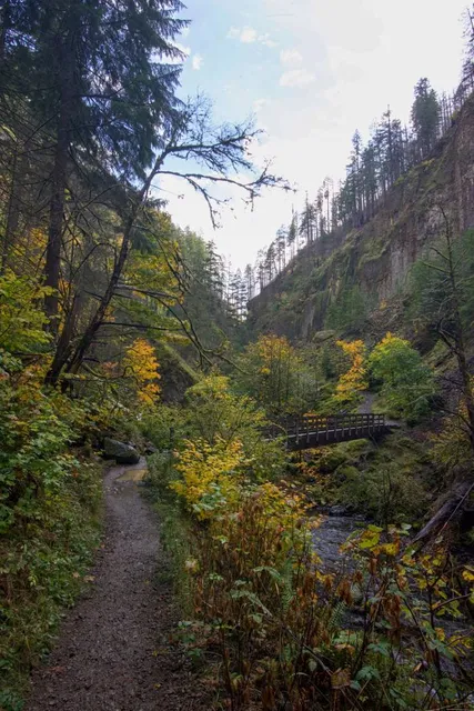 Wahclella Falls Trail