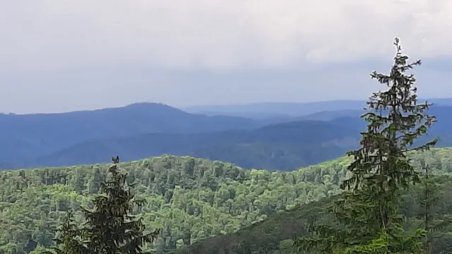 Bad Sachsa - Ravensberg