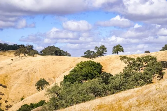 Henry W. Coe State Park