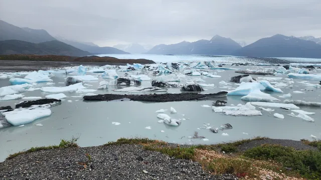 49th State Motor Tours