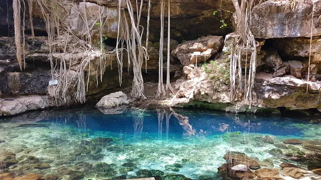 Cenote Dzombacal