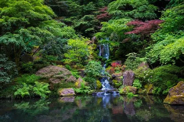 Portland Japanese Garden