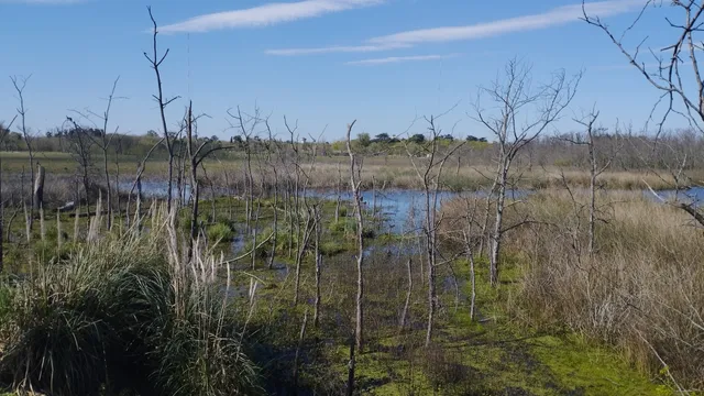 Reserva Natural de Ciudad Evita
