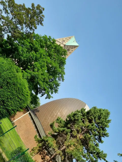 photo-1