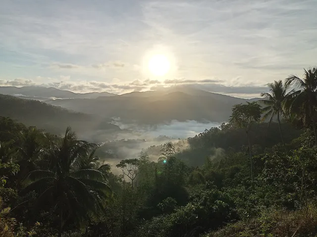Mt. Baliis - Sea of Clouds