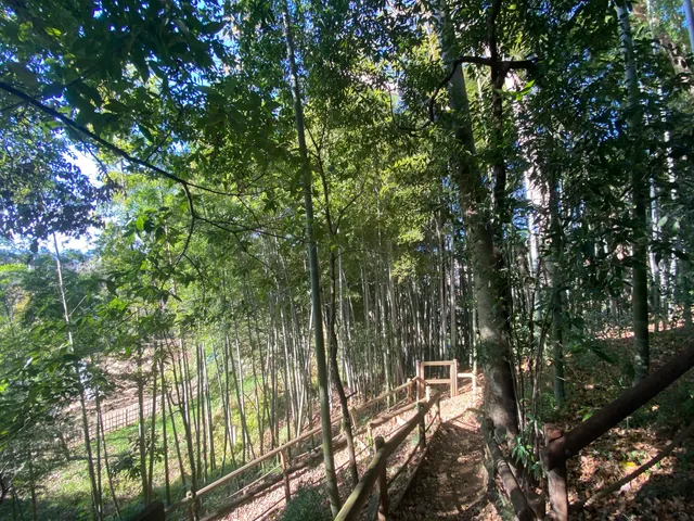 Deyama Lateral Tombs