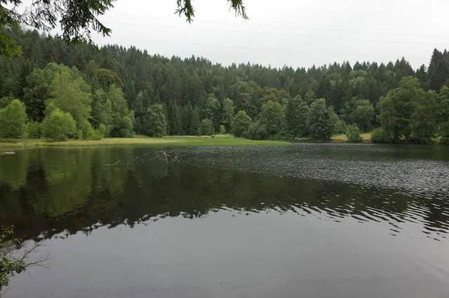 Klosterweiher (Dachsberg)