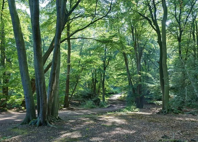 photo-3
