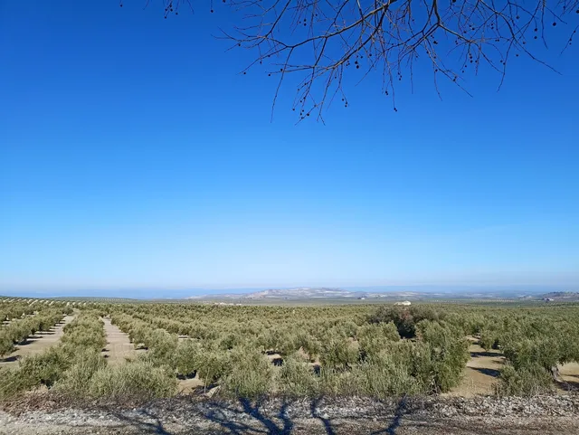 Via Verde del Aceite