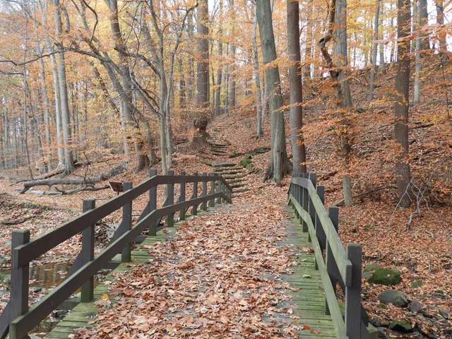 Garfield Park Reservation