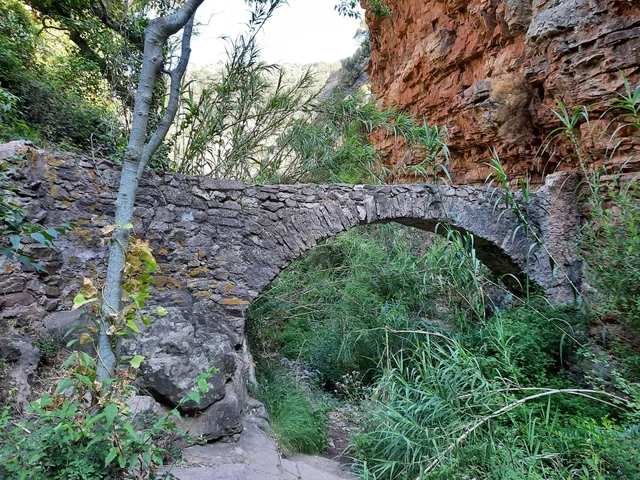 Arquet de Alfondeguilla