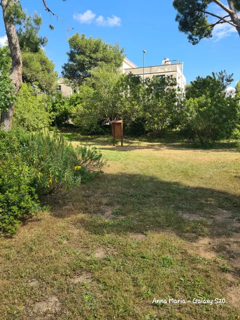 photo-3