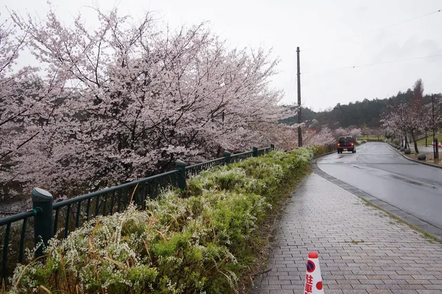 Kyotango City Mineyama General Park