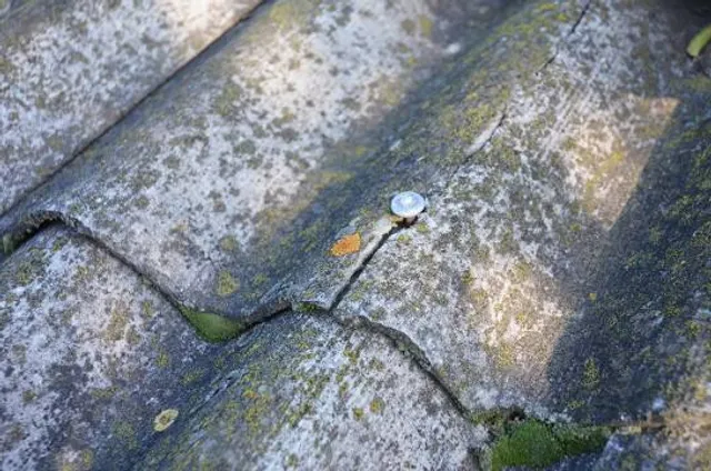 Scripture Rocks Heritage Park