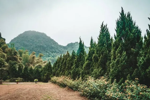 place image