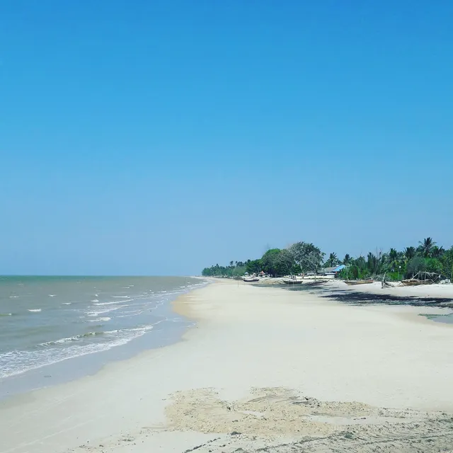 Medang cape coast (North Rupat)