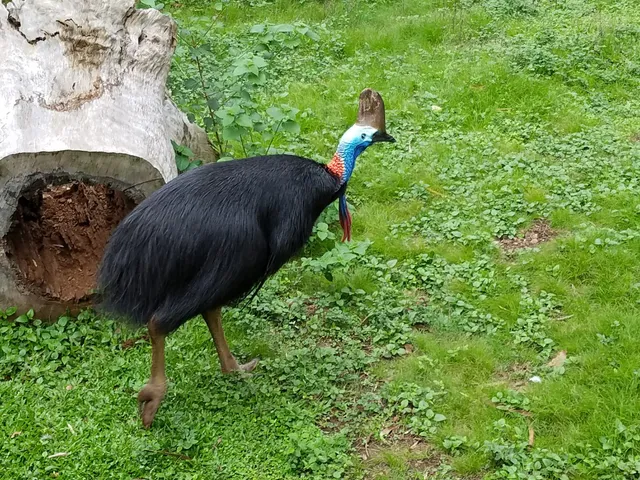 Cooberrie Park Wildlife Sanctuary