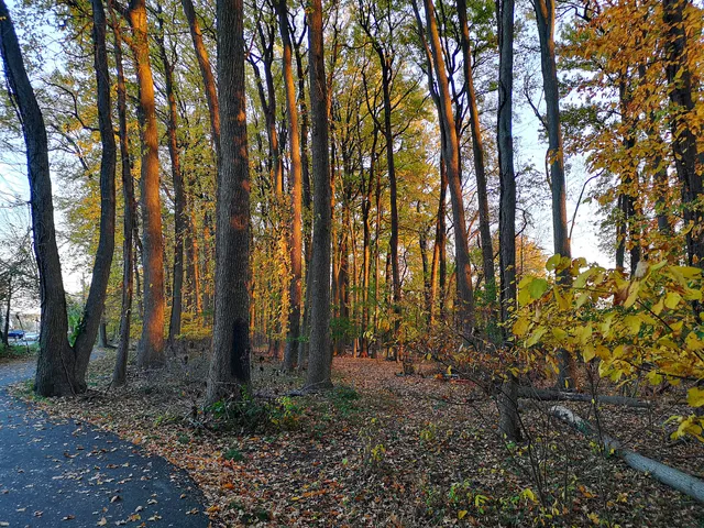 William T Davis Wildlife Refuge