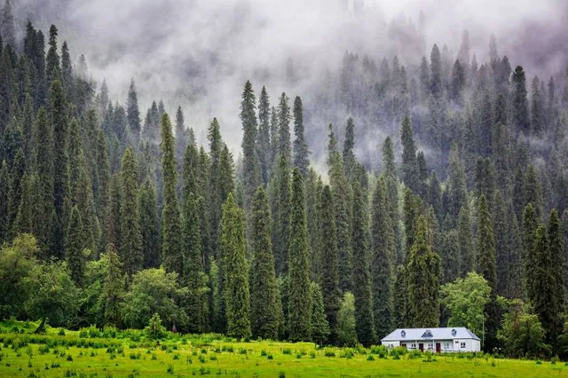 Ku'erdening Nature Reserve
