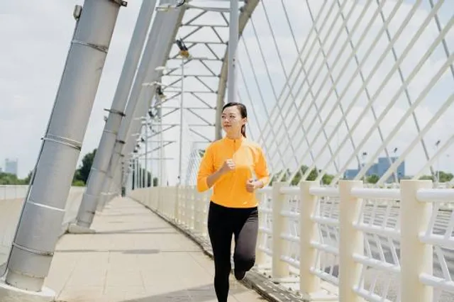 Bardhaman Hanging Railway Bridge