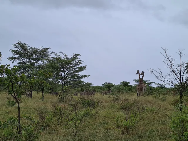 Madikela Private Game Reserve