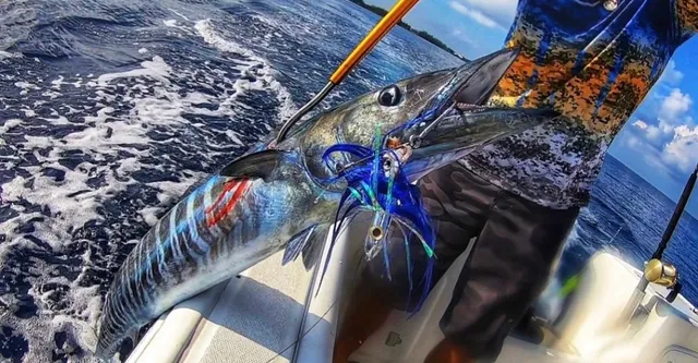 Reelistik Charters - Cayman Islands Fishing, Snorkeling and Private Charters