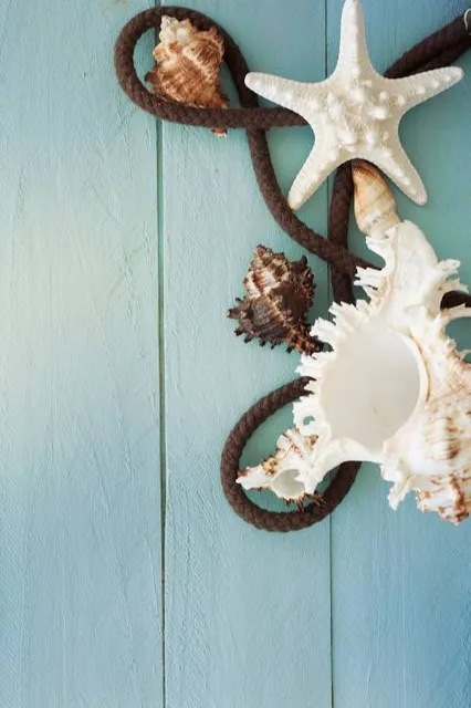 India Seashell Museum