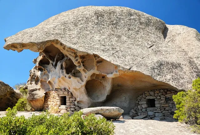 Oriu Grussetu d'A Munaccia d'Auddè
