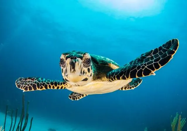 North Carolina Aquarium on Roanoke Island