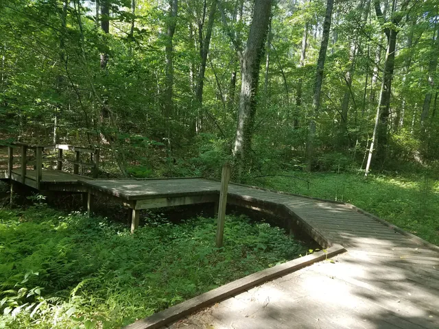 Brookhaven Nature Park