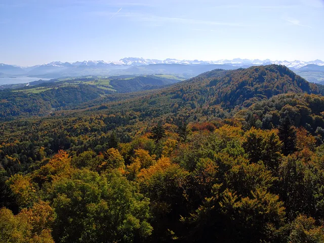 Zurich Wilderness Park Sihlwald
