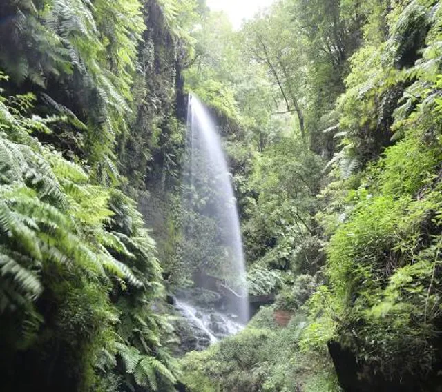 Cascada De Los Tilos