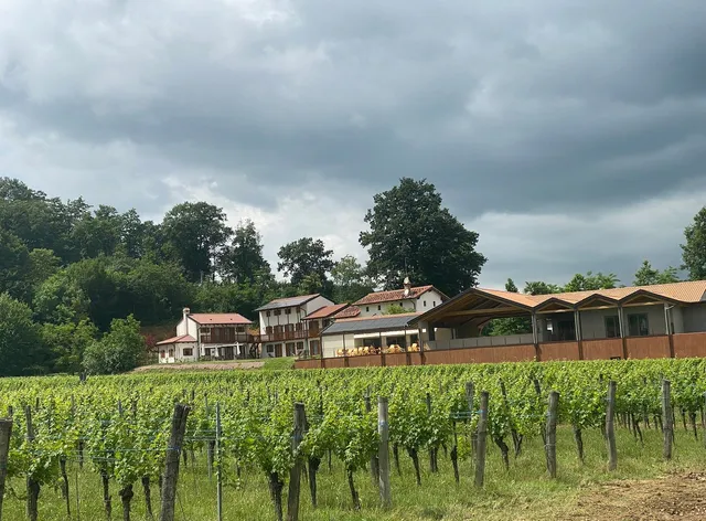 La Pausa del Collio - Tenuta Della Casa Wine & Rooms