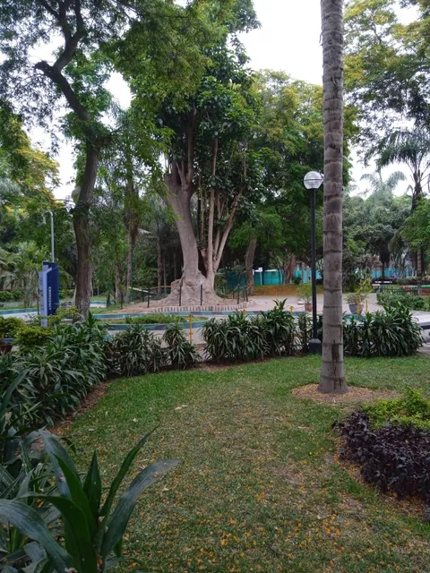 Ramón Castilla Park